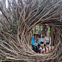 I92EM_20180902_144432 University of Santa Cruz Arboretum