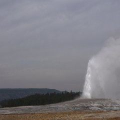 I9TA4_08777 Old Faithful, still faithful